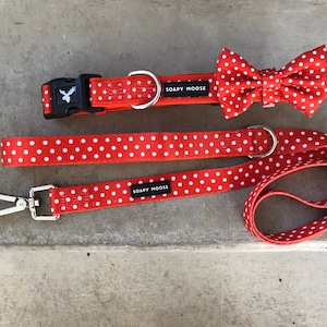 May include: Red and white polka dot dog collar, lead, and bow tie. The collar and lead have the text "SOAPY MOOSE" printed on them.