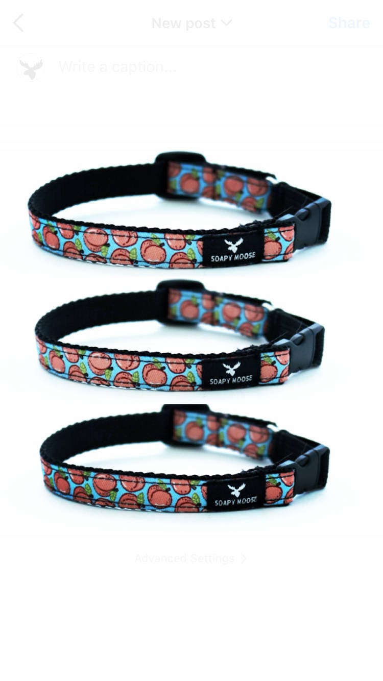 peach kitten collar