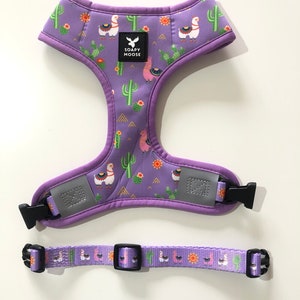 Lamas Hundegeschirr, lila LamasGeschirr, lila Geschirr, LamasGeschirr, Katzengeschirr, Welpegeschirr, wendegeschirr, soft harness