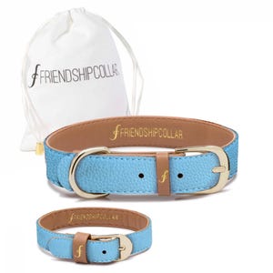 May include: A light blue dog collar with a gold-colored buckle and a matching smaller bracelet. The collar and bracelet have a brown leather accent and the text "FRIENDSHIPCOLLAR". A white drawstring bag is in the background.