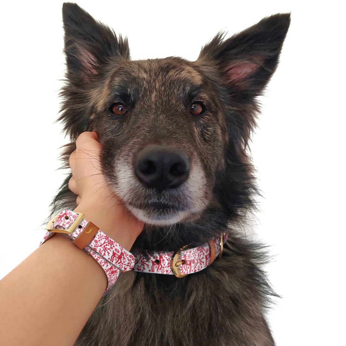 FriendshipCollar Dog Collar and Matching Bracelet Set Etsy