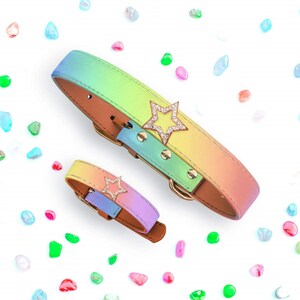 Friendship Collar Star Charm Set for your dog&#39;s collar and your matching bracelet jewelry charms #friendshipcollar