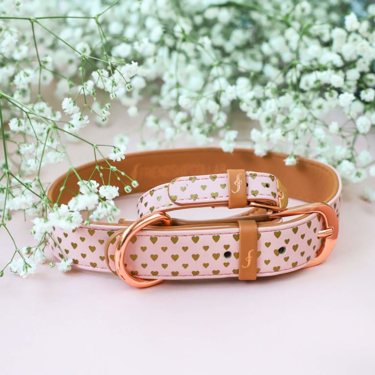 Friendship Collar FriendshipCollar Puppy Love Dog Etsy