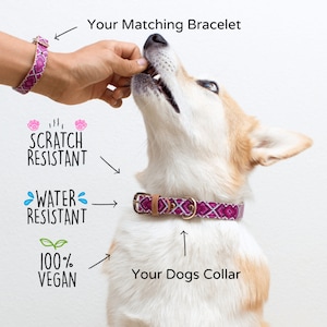 Dog collars and bracelet for owner deals