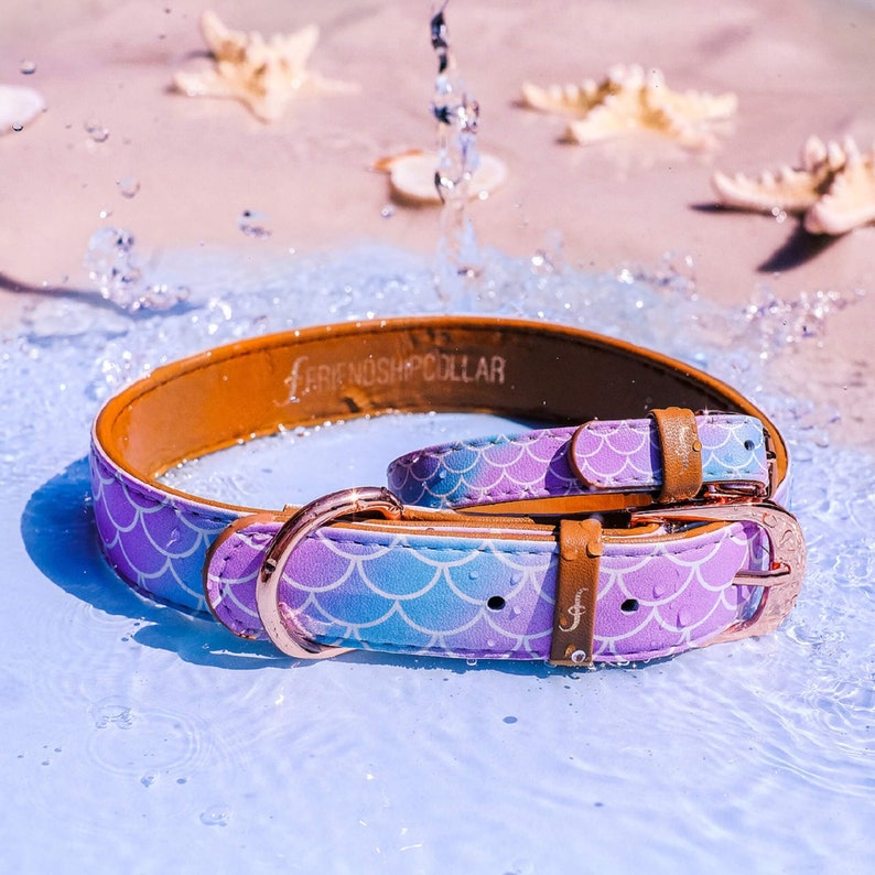 FriendshipCollar Dog Collar and Matching Bracelet Set Etsy