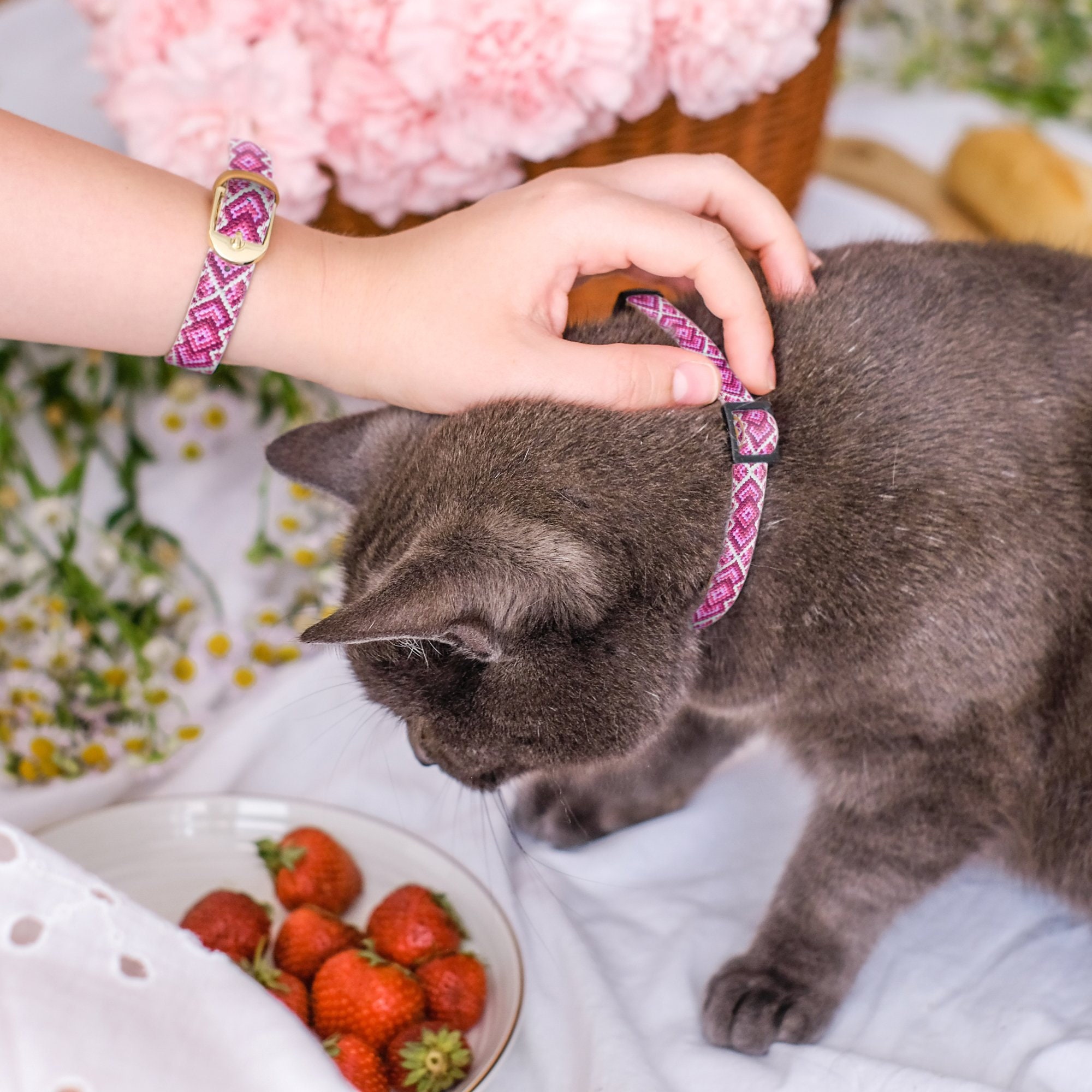 matching cat collars