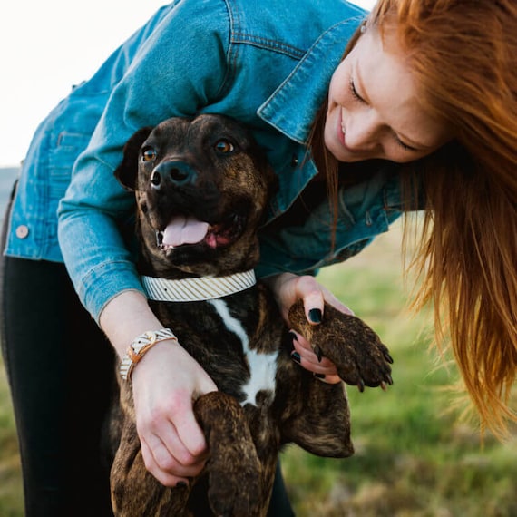 Dog best friend collar 2025