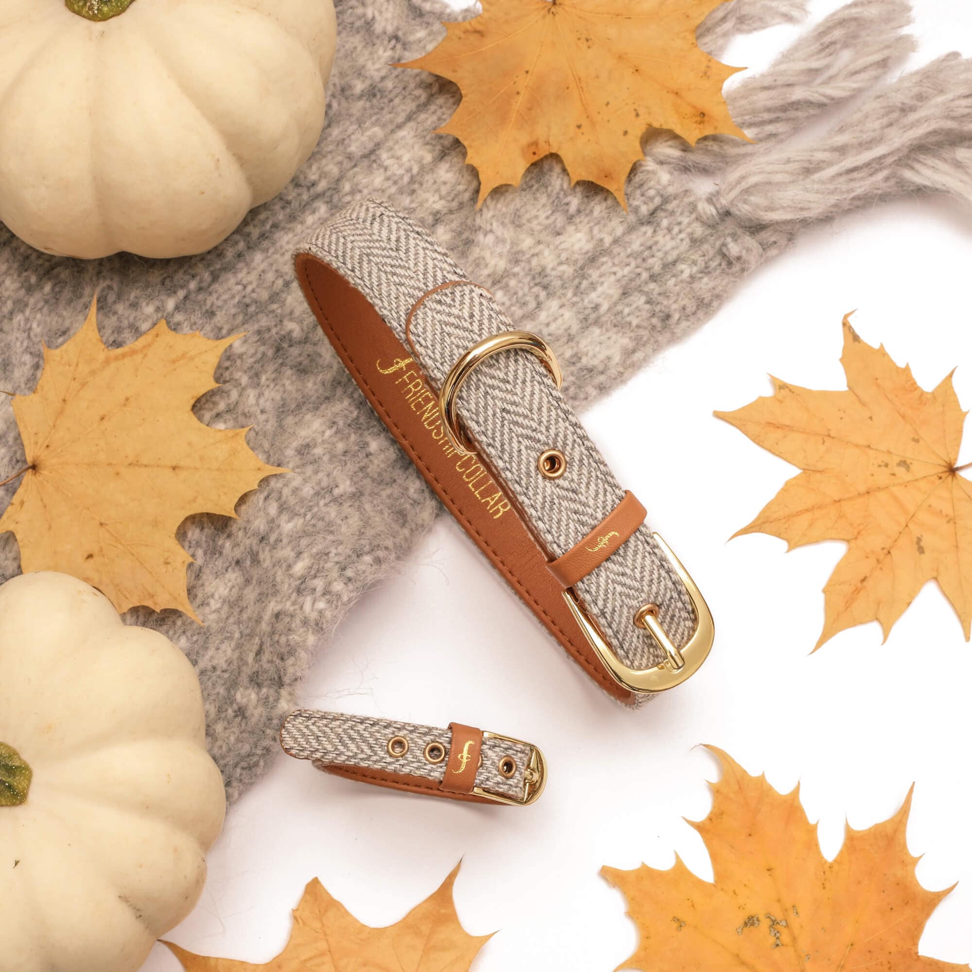 Friendship Collar FriendshipCollar Great British Canine Etsy