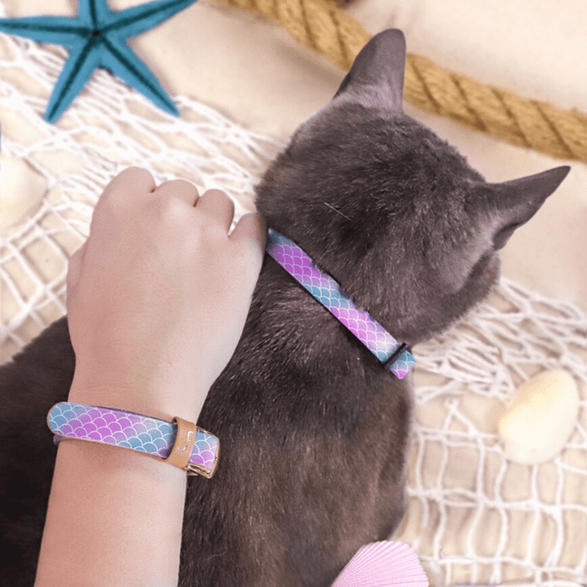 Friendship Collar FriendshipCollar The Bestie Collection Cat Etsy