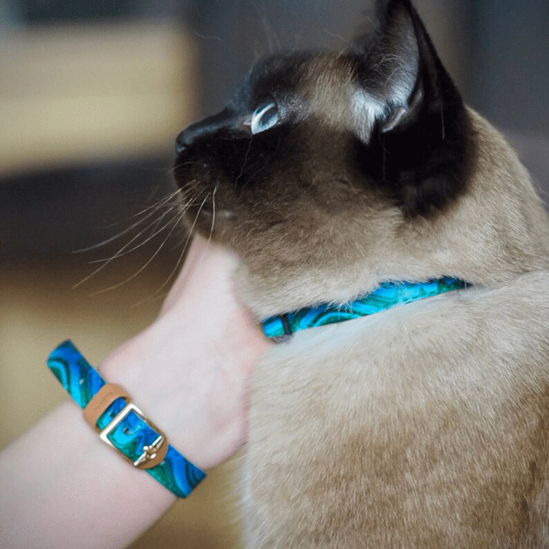 matching cat collars