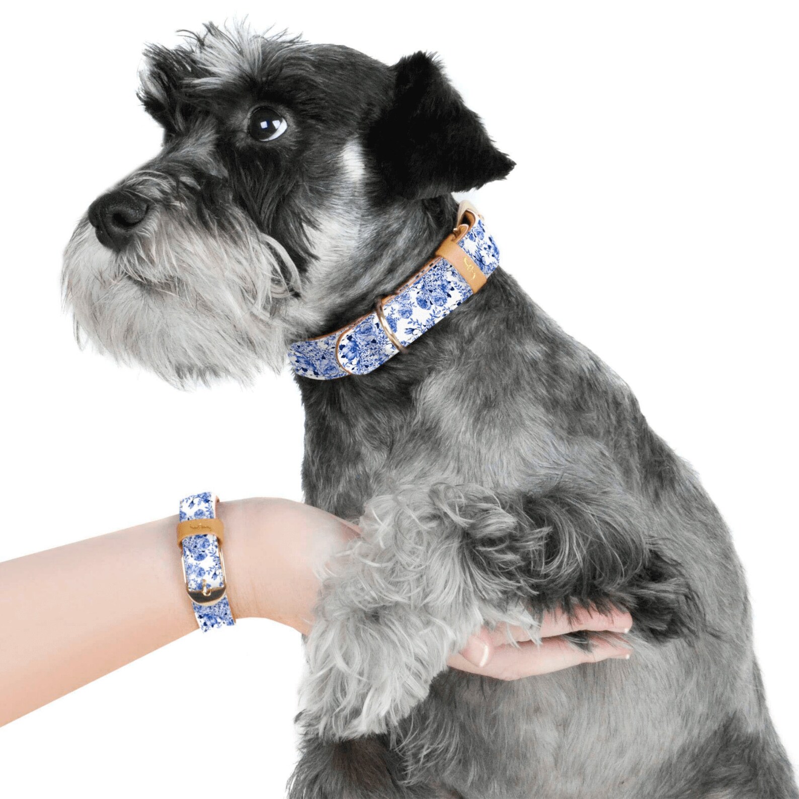 FriendshipCollar Dog Collar and Matching Bracelet Set Etsy