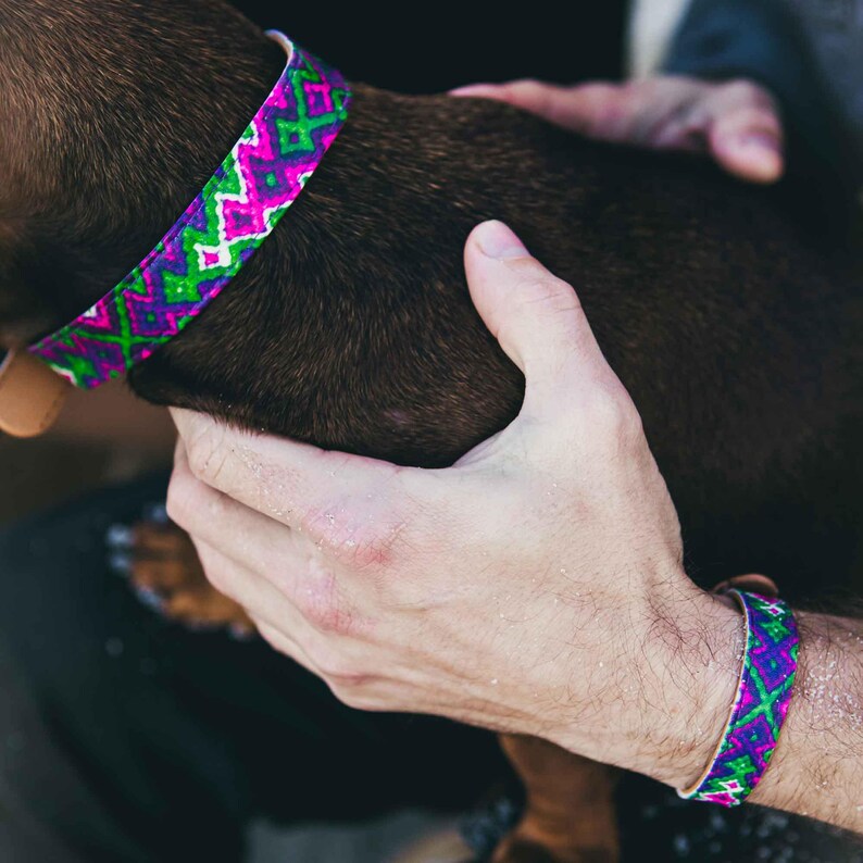 Friendship Collar All Bark No Bite Dog FriendshipCollar & Etsy