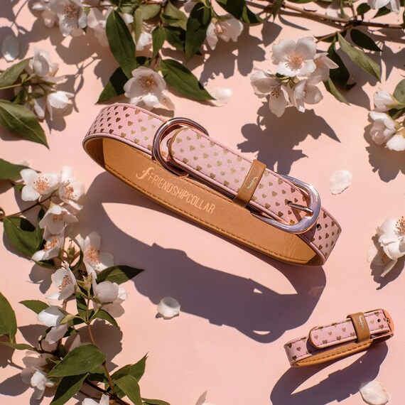 Friendship Collar FriendshipCollar Puppy Love Dog Etsy