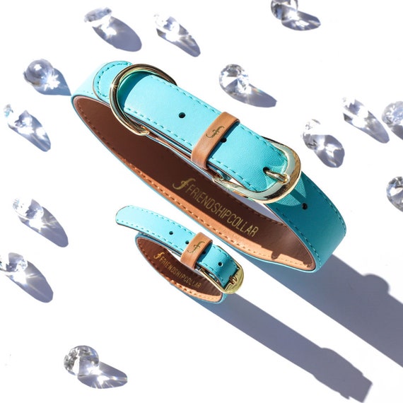 Friendship Collar FriendshipCollarThe Classic Pup Azure Etsy