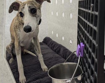 Bucket Hook For Ruffland Kennel PETG Plastic Multiple Colors! New Sizes!