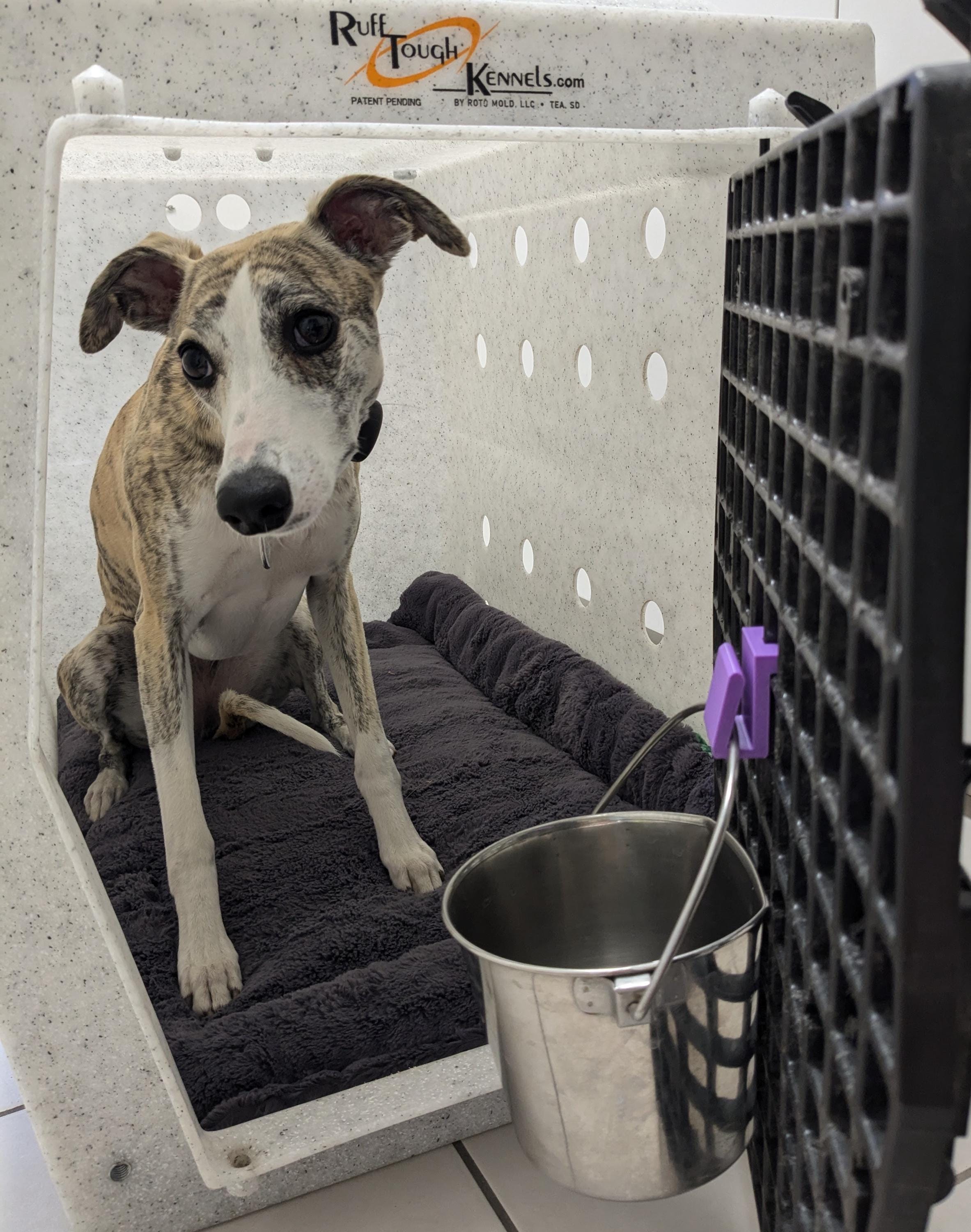 Accessories for Ruffland Kennel