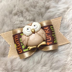 May include: A tan ribbon bow with a brown and green patterned band featuring the word "autun" and a 3D owl. The owl is beige with white accents and large eyes. The bow is set against a soft, textured background.