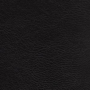 May include: A solid black material featuring a consistent, fine-grained, and pebbled texture across the entire surface. The surface displays a matte finish with subtle variations in the depth of the grain, creating a uniform and tactile appearance.