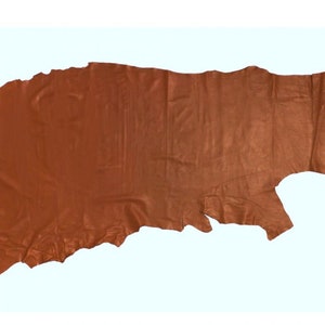 May include: A piece of brown leather with a wrinkled texture.