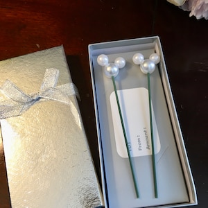 May include: A white gift box with a silver lid and a silver ribbon. The box is open and inside is a white card with the words "To:", "From:", and "Amount:" written on it. There are two green stems with white pearl Mickey Mouse heads on them.