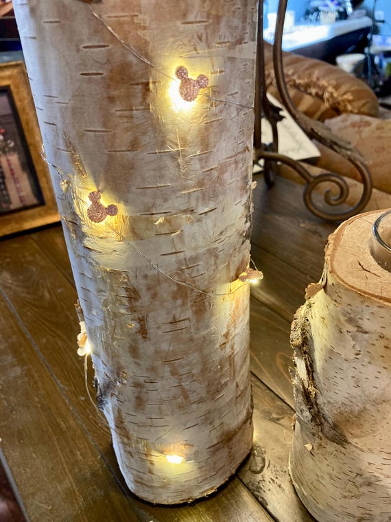 MICKEY FAIRY LIGHTS Disney Wedding Centerpiece Light, Fairy Tale Wedding Light, Mickey Christmas Lights, Fairy Light, Battery Operated Light