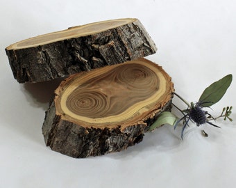 4-5 inch Elm wood slices, elm slice, thick elm slice, wedding centerpieces, wood centerpiece, wood riser, wood slab