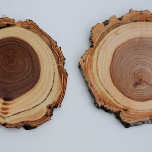 Elm coasters, wood slices, wood coasters, reclaimed elm coasters, reclaimed wood image 5