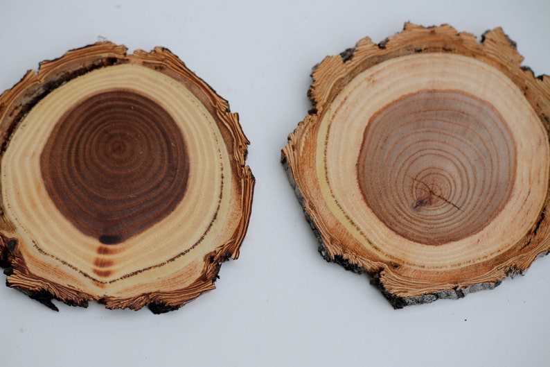 Elm coasters, wood slices, wood coasters, reclaimed elm coasters, reclaimed wood image 5