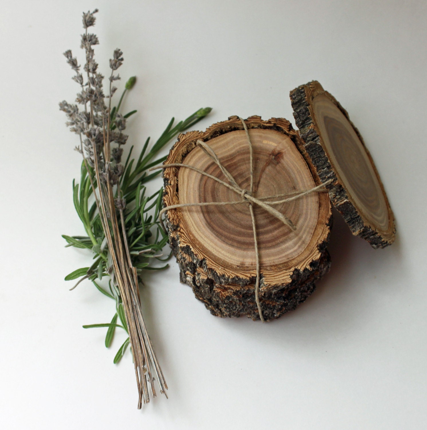 4 ou 6 Sous-Verres d'orme, Tranches de Bois, en d'orme Récupérés, Ensemble 4 Sous-Verres, Bois Récup