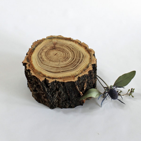 Elm wood riser, elm slice, thick elm slice, wedding centerpieces, wood centerpiece, wood riser, wood slab