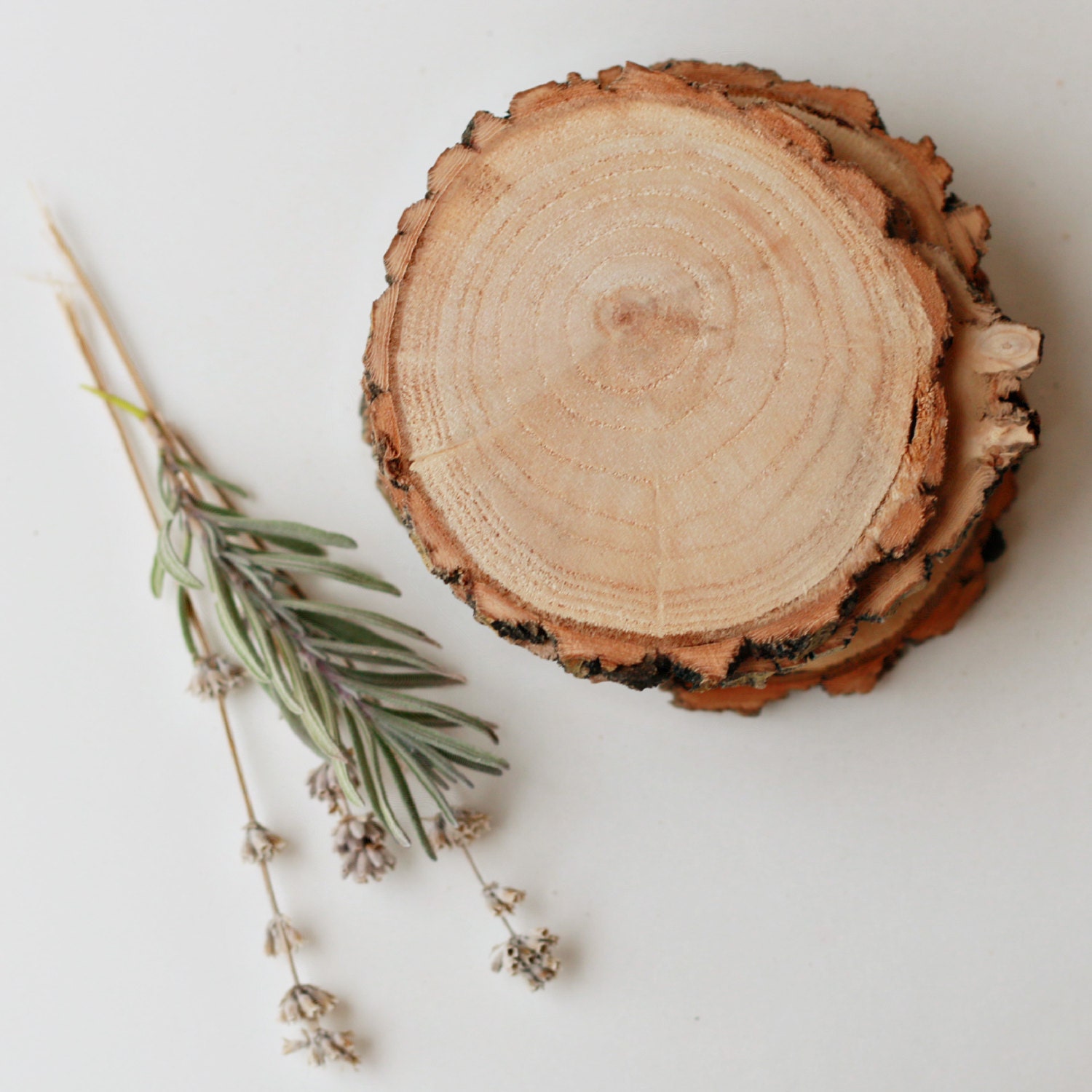 4 Sous-Verres, Tranches de Bois, Sous-Verres en Bois Saule Récupérés, Ensemble 4 Sous-Verres