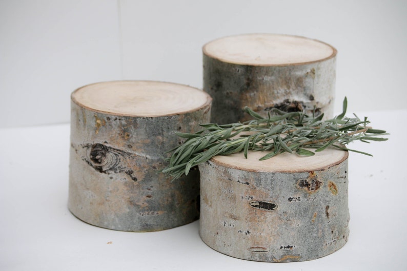 Puede incluir: Tres rebanadas de madera de corteza de abedul, apiladas en forma de pir&aacute;mide, con una rama de follaje verde en la parte superior. La madera es de color marr&oacute;n claro con una textura de corteza natural.