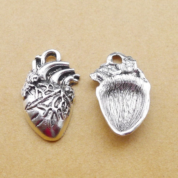 6 or 15PCS/Bulk Sale, Antique Silver Human Heart Charm Pendant, Anatomical Heart Charm --- Tibetan Silver Jewelry Supply, 15X27mm JHS255