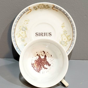 May include: A white teacup and saucer set with a floral design. The saucer has a blue and gold border and the text "SIRIUS" printed on the bottom. The teacup has a brown stain on the inside.