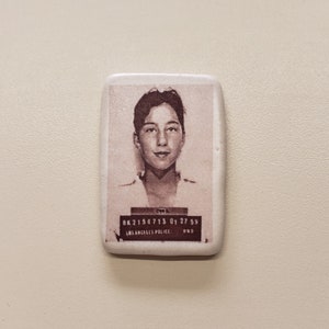 Cher Mugshot Magnet