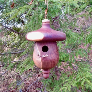 Birdhouse, Outdoor Walnut Acorn Shaped Birdhouse, Unique Birdhouse, Wren House