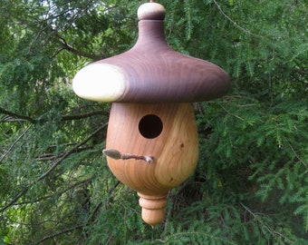 Birdhouse, Unique Outdoor Birdhouse, Black Walnut and Cherry Acorn Birdhouse, Wren & Chickadee House