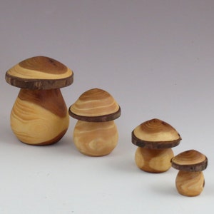 Mushroom, Wood Mushroom, Miniature Mushrooms, Mushroom Ornaments, Waldorf Style Miniature Mushrooms, Unique Mushrooms, Fairy Gardens