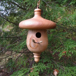 Elm and Ambrosia Maple Birdhouse, Upcycled Usable Birdhouse
