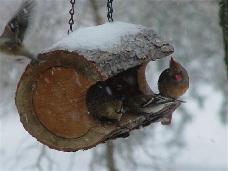 Hanging Log Bird Feeder Log Bird Feeders Wooden Bird Etsy
