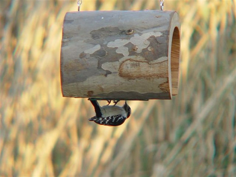 Hanging Log Bird Feeder Log Bird Feeders Wooden Bird Etsy