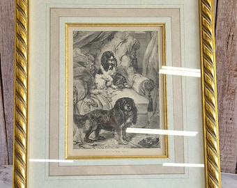 Antique Print, Toy Spaniel, The Illustrated Book of Dogs by Vero Shaw, Professionally Matted & Framed