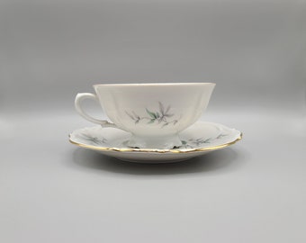Vintage Floral Tea Cup and Saucer, Z.S. Company Bavaria China, Collectible, Collector Tea Cup, Gift