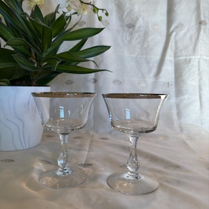 Forsteria Champagne Coupe/Tall Sherbet Glasses with Silver Rim (Set of 2)
