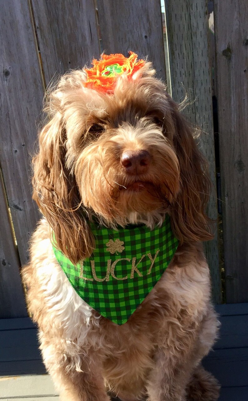 Download St. Patrick's Day Dog Bandana Love Dog Bandana Dog | Etsy