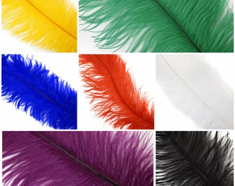 Large #1 Ostrich Feathers - Spad Wing Feathers - Dyed Plumes