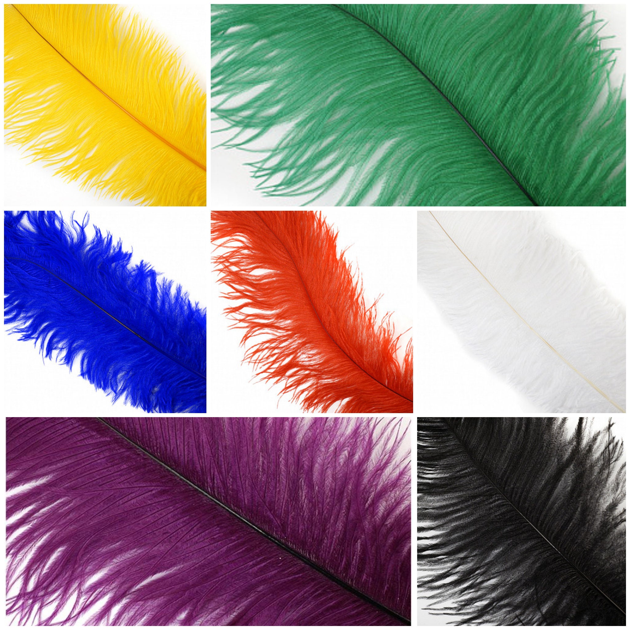 Colored online ostrich feathers