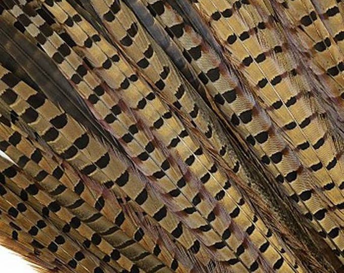 Pheasant Feathers - Long Male Tail Feathers - Natural Color