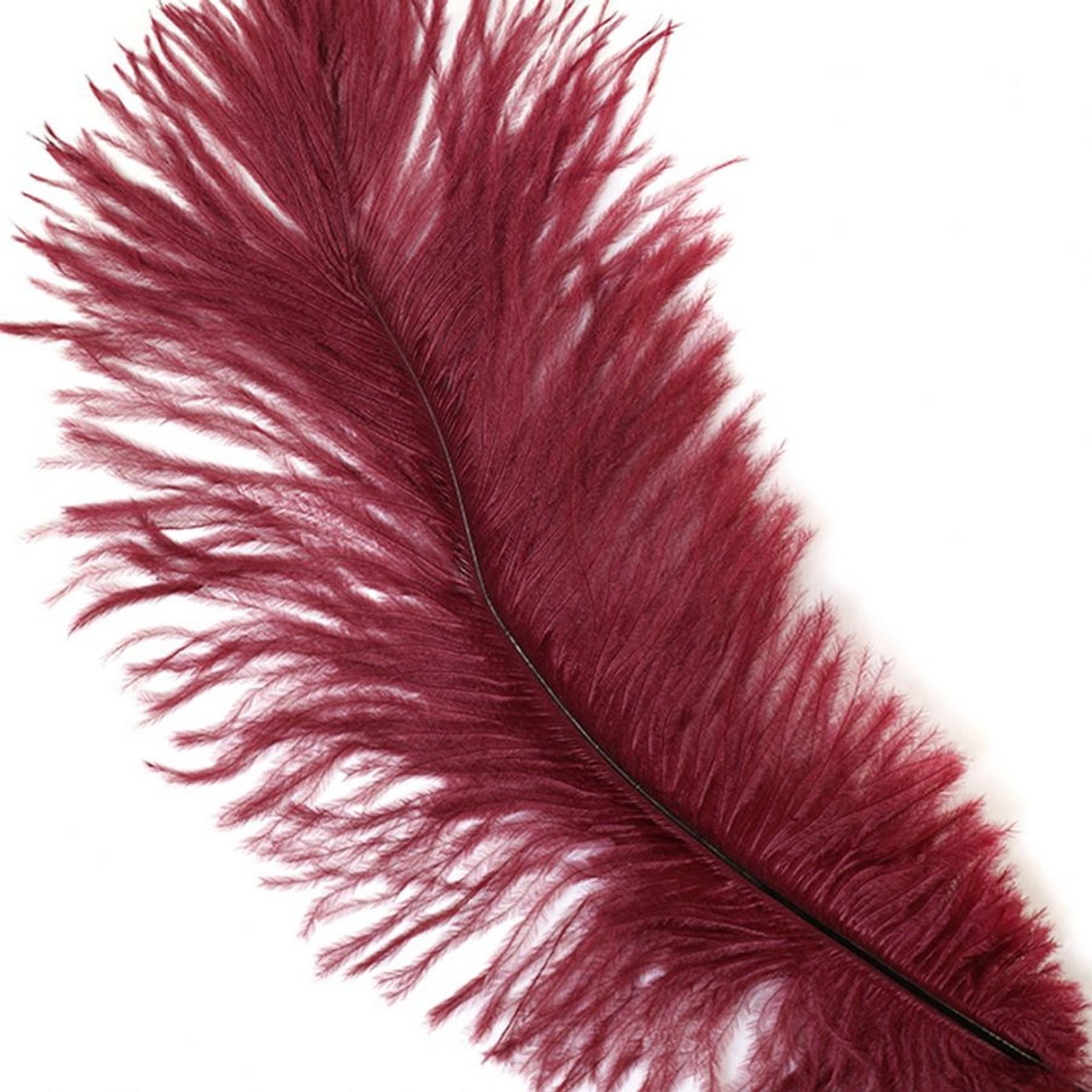 Burgundy Ostrich Feathers Medium 9 12 Drabs | Etsy