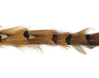 Narrow Pheasant Feather Hatband #1 - Pheasant Feathers Tape - Decor